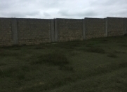 Satılır 140 sot torpaq Saray