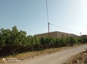 Satılır 10 sot torpaq Zirə