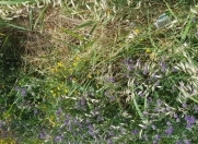 Satılır 3 sot torpaq Qurtuluş - 93 Yaşayış Kompleksi