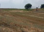 Satılır 12000 sot torpaq Ağstafa