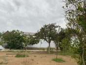 Satılır 18 sot torpaq Mərdəkan