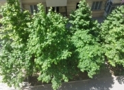 Satılır 3 otaqlı 83 m2 yeni tikili 20 yanvar m.