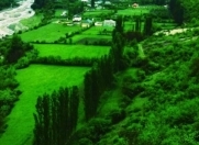 Satılır 50 sot torpaq Qusar