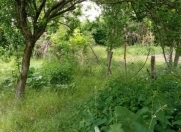 Satılır 4 otaqlı 60 m2 bağ evi Şəki