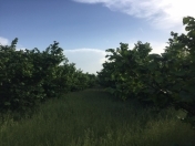 Satılır 115 sot torpaq Xaçmaz