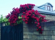 Satılır 3 otaqlı 100 m2 bağ evi Xudat