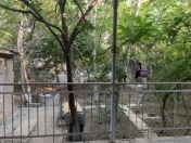 Satılır 5.6 sot torpaq Gənclik m.