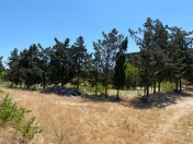 Satılır 57 sot torpaq Mərdəkan