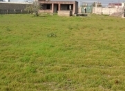 Satılır 25 sot torpaq Türkan