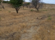 Satılır 9 sot torpaq Masazır