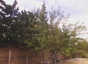 Satılır 16 sot torpaq Novxanı