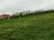 Satılır 50 sot torpaq Qəbələ