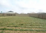 İcarəyə verilir 3 otaqlı 200 m2 köhnə tikili Zaqatala