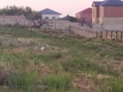 Satılır 10 sot torpaq Saray