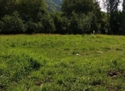 Satılır 20 sot torpaq İsmayıllı