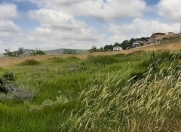 Satılır 12 sot torpaq Şamaxı