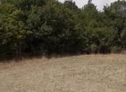 Satılır 8 sot torpaq Xudat