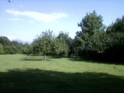 Satılır 110 sot torpaq Qəbələ