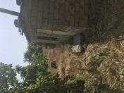 Satılır 10 sot torpaq Bilgəh