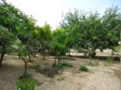 Satılır 9 sot torpaq Novxanı