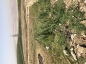 Satılır 10 sot torpaq Binəqədi