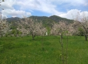 Satılır 35 sot torpaq İsmayıllı