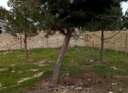 Satılır 4 sot torpaq Y.Ramana