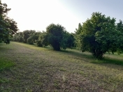 Satılır 1 sot torpaq Qəbələ