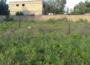 Satılır 31 sot torpaq Novxanı