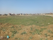 Satılır 31 sot torpaq Novxanı