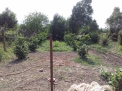 Satılır 2 otaqlı 22 m2 həyət evi Şabran