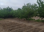 Satılır 4 sot torpaq Aviasiya Akademiyası Universiteti