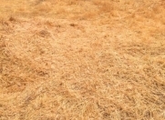 Satılır 6 sot torpaq Hökməli