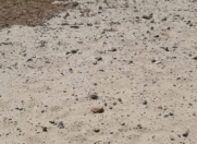 Satılır 5 sot torpaq Məhəmmədli