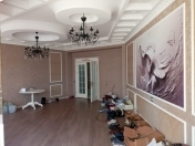 Satılır 4 otaqlı 225 m2 yeni tikili Ayna Sultanova heykəli