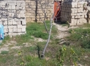 Satılır 4 sot torpaq Novxanı