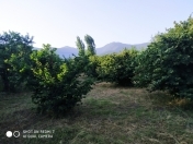 Satılır 18 sot torpaq Oğuz