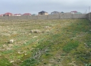 Satılır 50 sot torpaq Binə