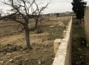 Satılır 12 sot torpaq Xaşaxuna