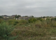 Satılır 25 sot torpaq Pirşağı