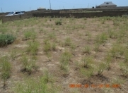 Satılır 5 sot torpaq Ələt