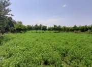 Satılır 5 otaqlı 1 m2 həyət evi Sabirabad