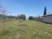 Satılır 16 sot torpaq Saray