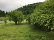 Satılır 20 sot torpaq Qəbələ