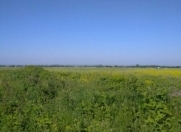 Satılır 400 sot torpaq Şabran