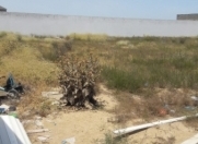 Satılır 22 sot torpaq Bilgəh