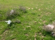 Satılır 1.5 sot torpaq Məhəmmədli