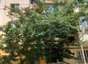 Satılır 1 otaqlı 40 m2 köhnə tikili 7 mkr