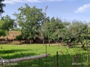 Satılır 30 sot torpaq Ağstafa