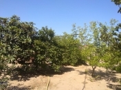 Satılır 6 sot torpaq Nardaran